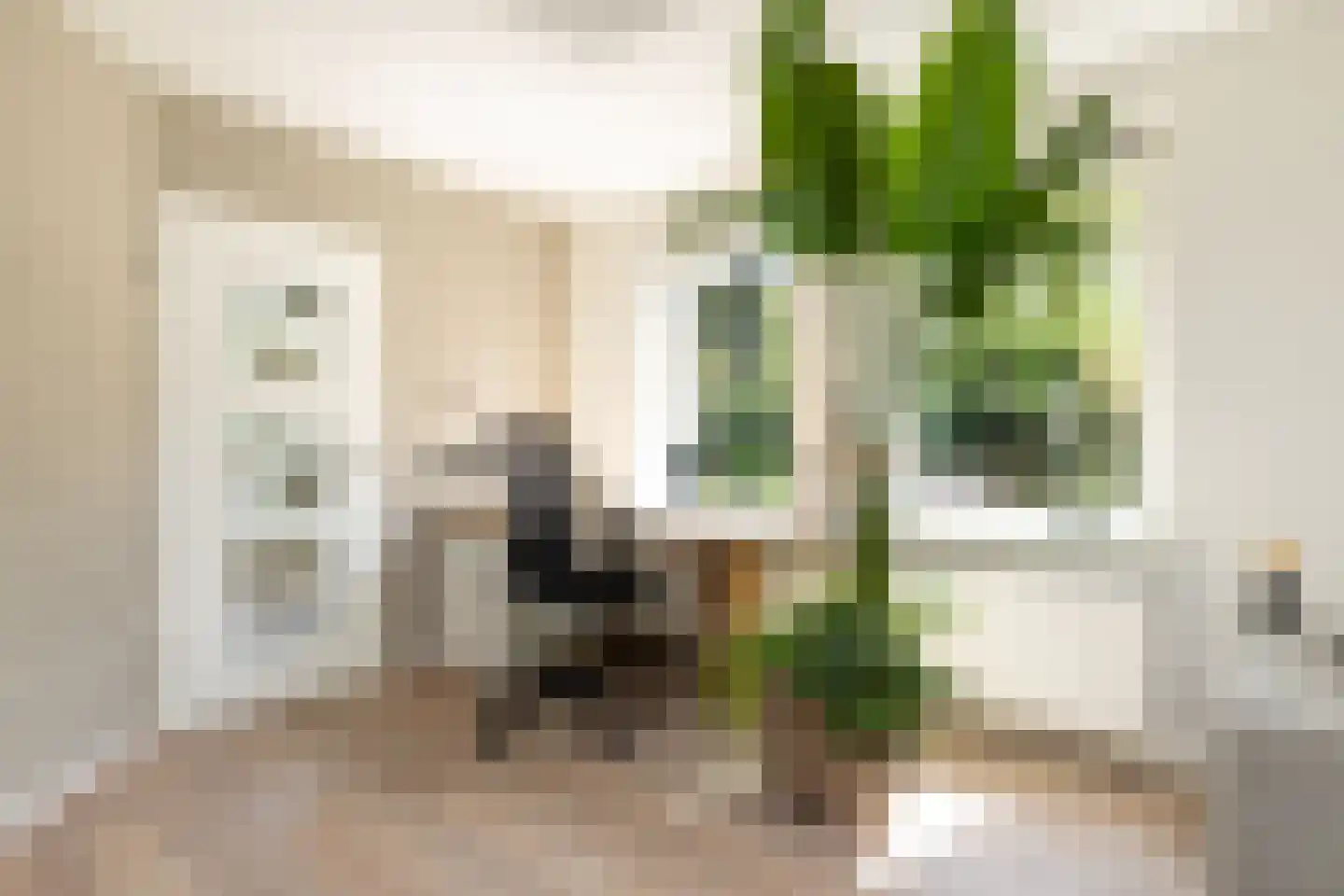 Waardeel 2 Zuidwolde thumbnail 15