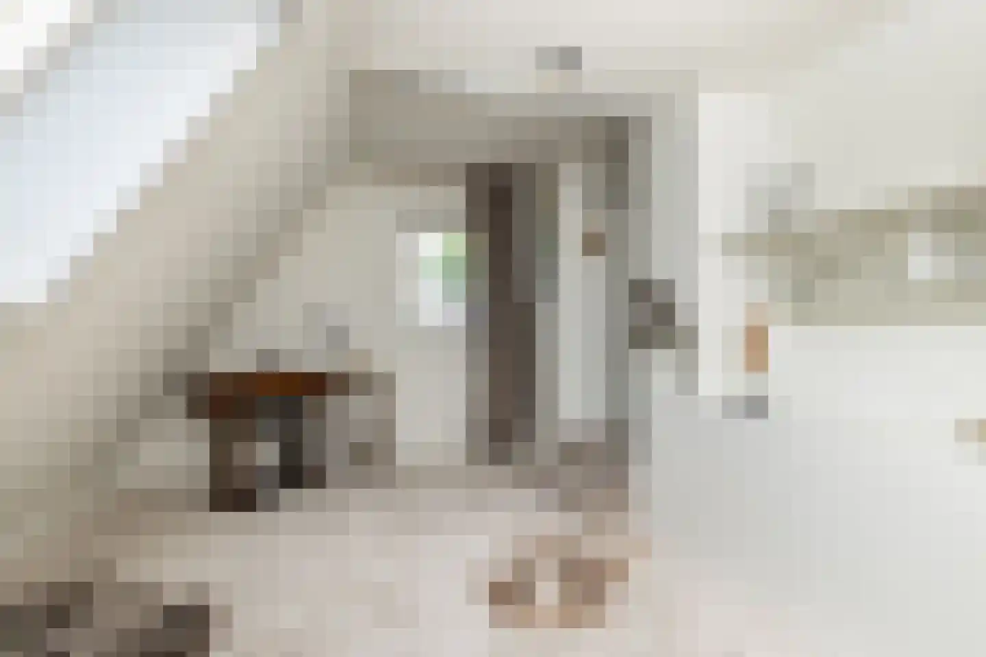 Waardeel 2 Zuidwolde thumbnail 30