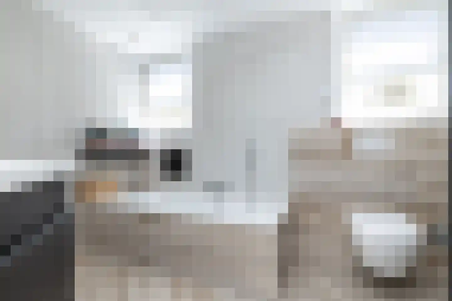 Waardeel 2 Zuidwolde thumbnail 40