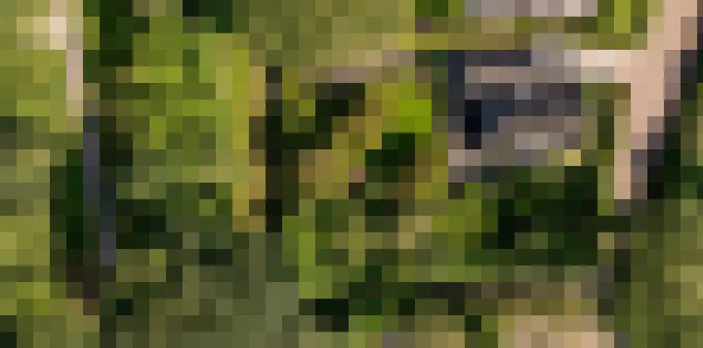 Waardeel 2 Zuidwolde thumbnail 43