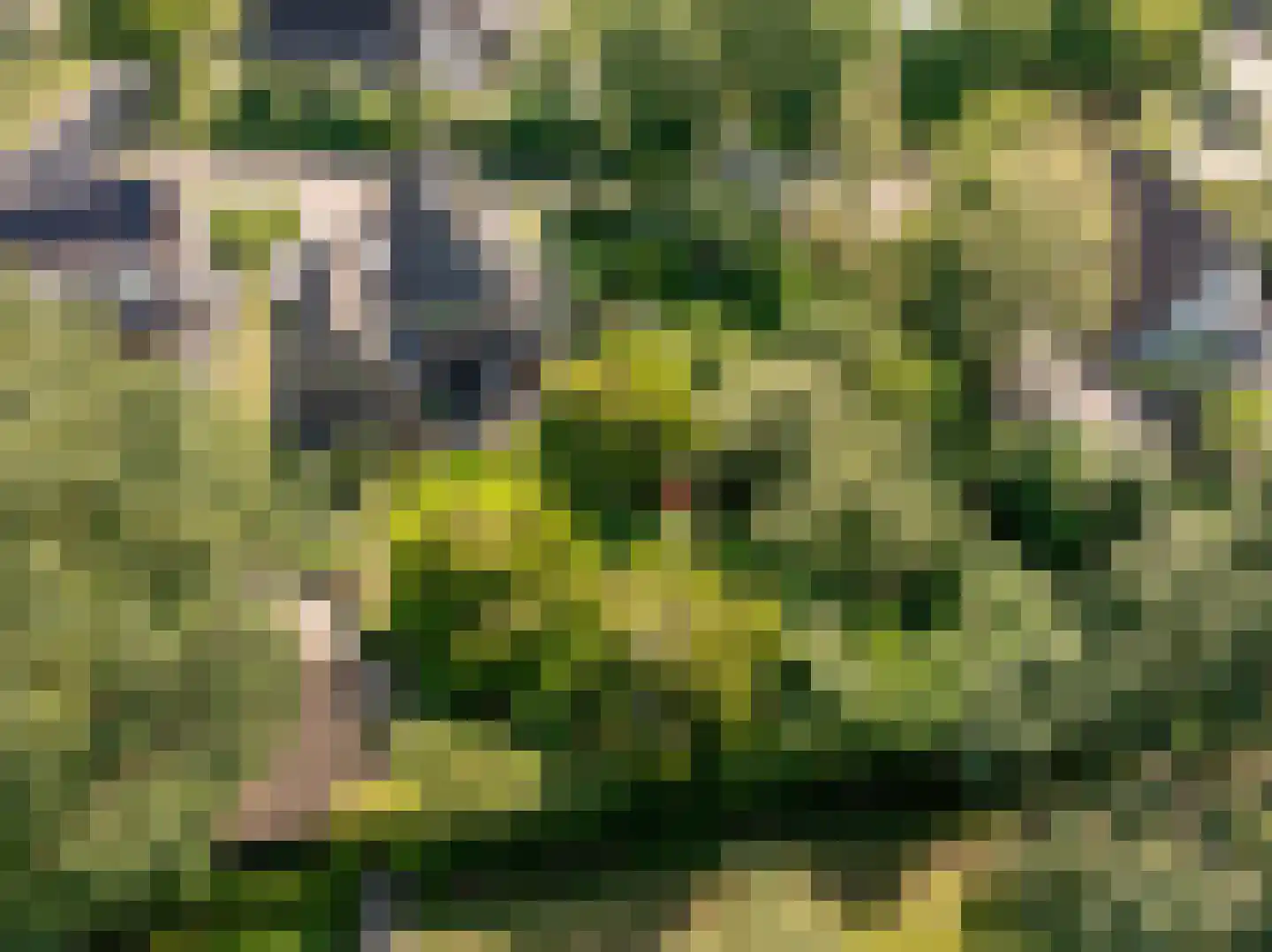 Waardeel 2 Zuidwolde thumbnail 44