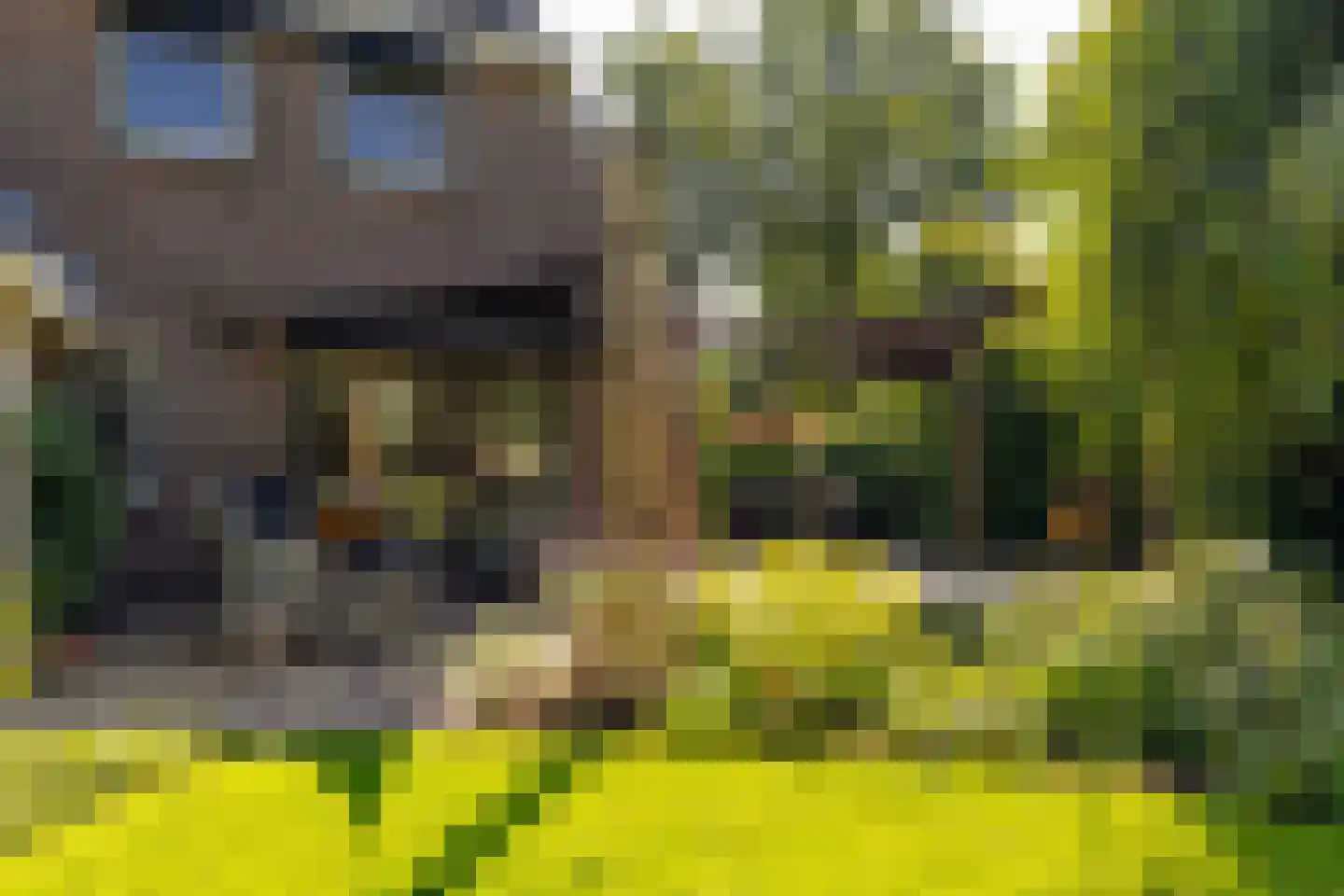 Waardeel 2 Zuidwolde thumbnail 45