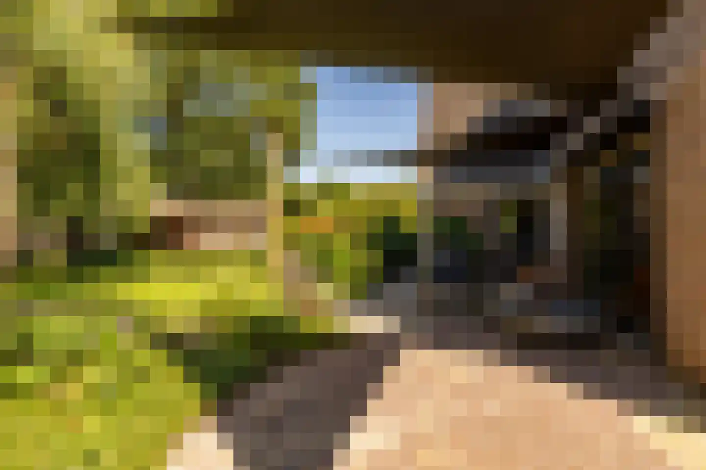 Waardeel 2 Zuidwolde thumbnail 47