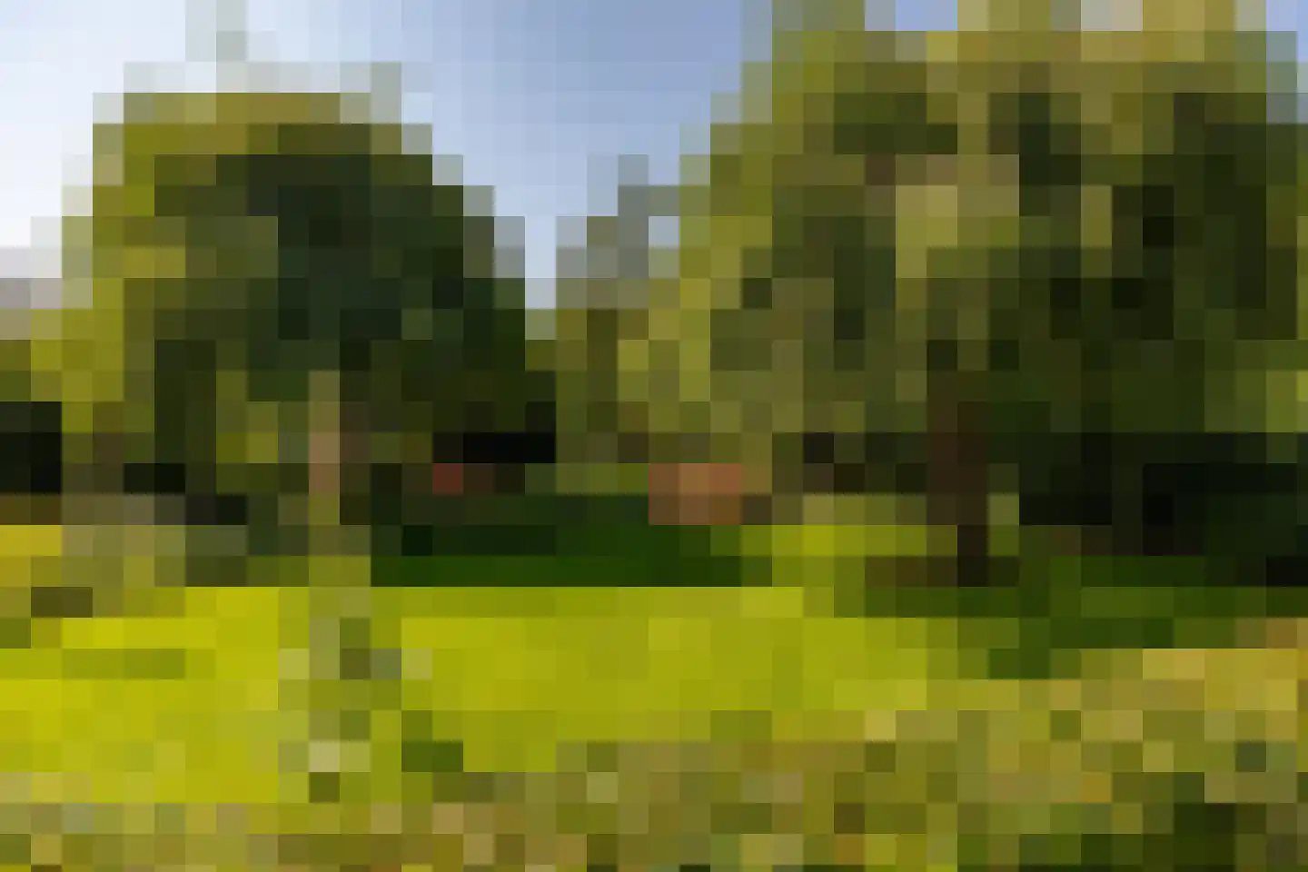 Waardeel 2 Zuidwolde thumbnail 48