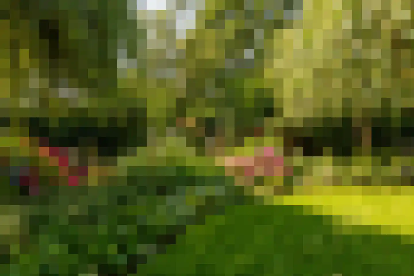 Waardeel 2 Zuidwolde thumbnail 49