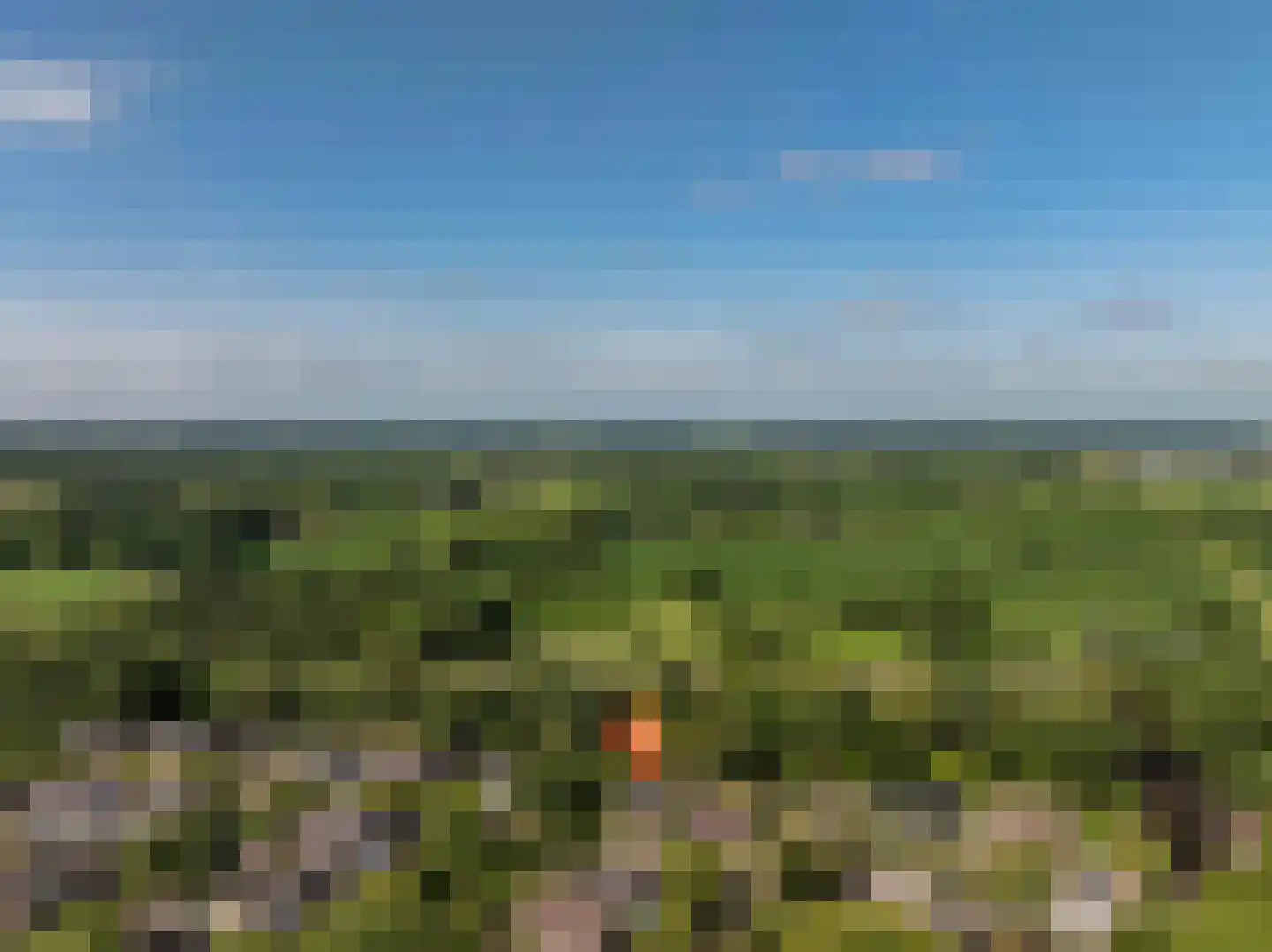 Waardeel 2 Zuidwolde thumbnail 5