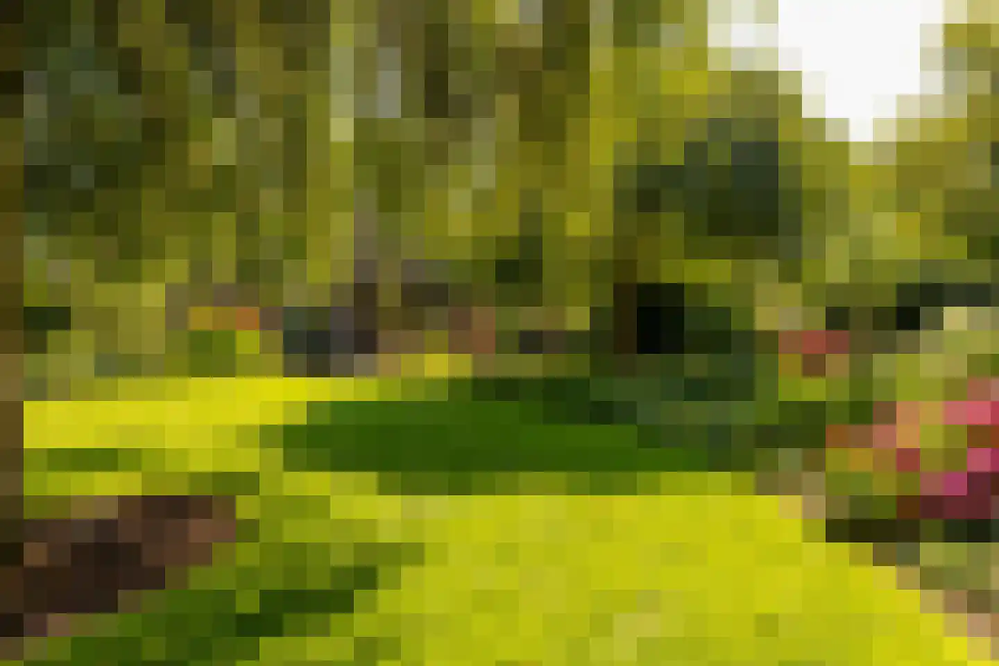 Waardeel 2 Zuidwolde thumbnail 50