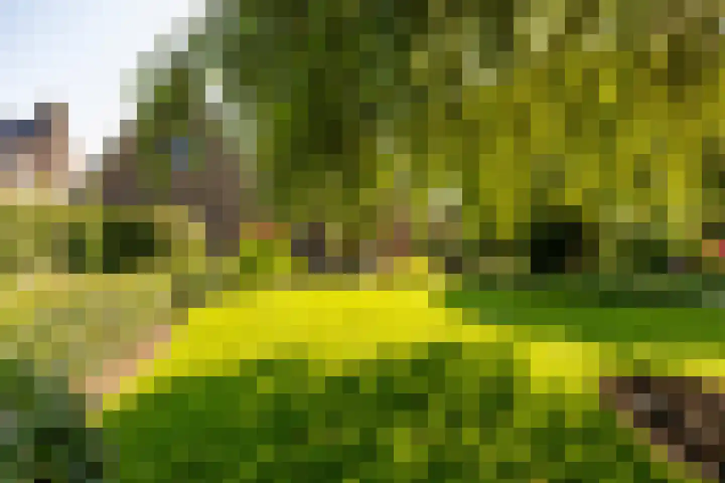 Waardeel 2 Zuidwolde thumbnail 51
