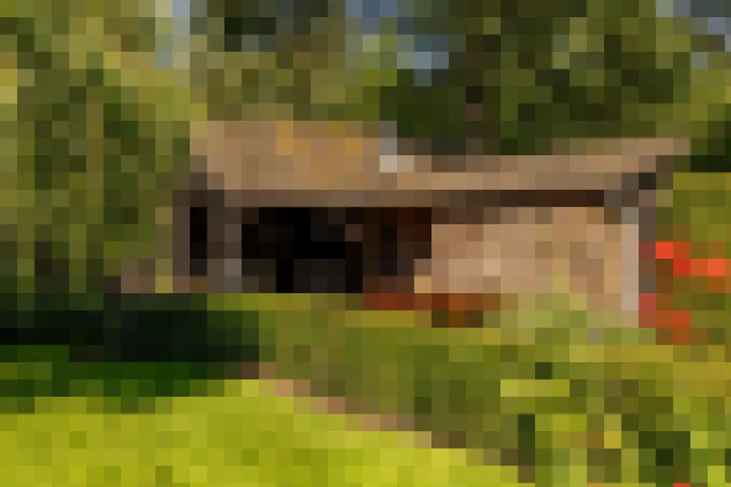 Waardeel 2 Zuidwolde thumbnail 52