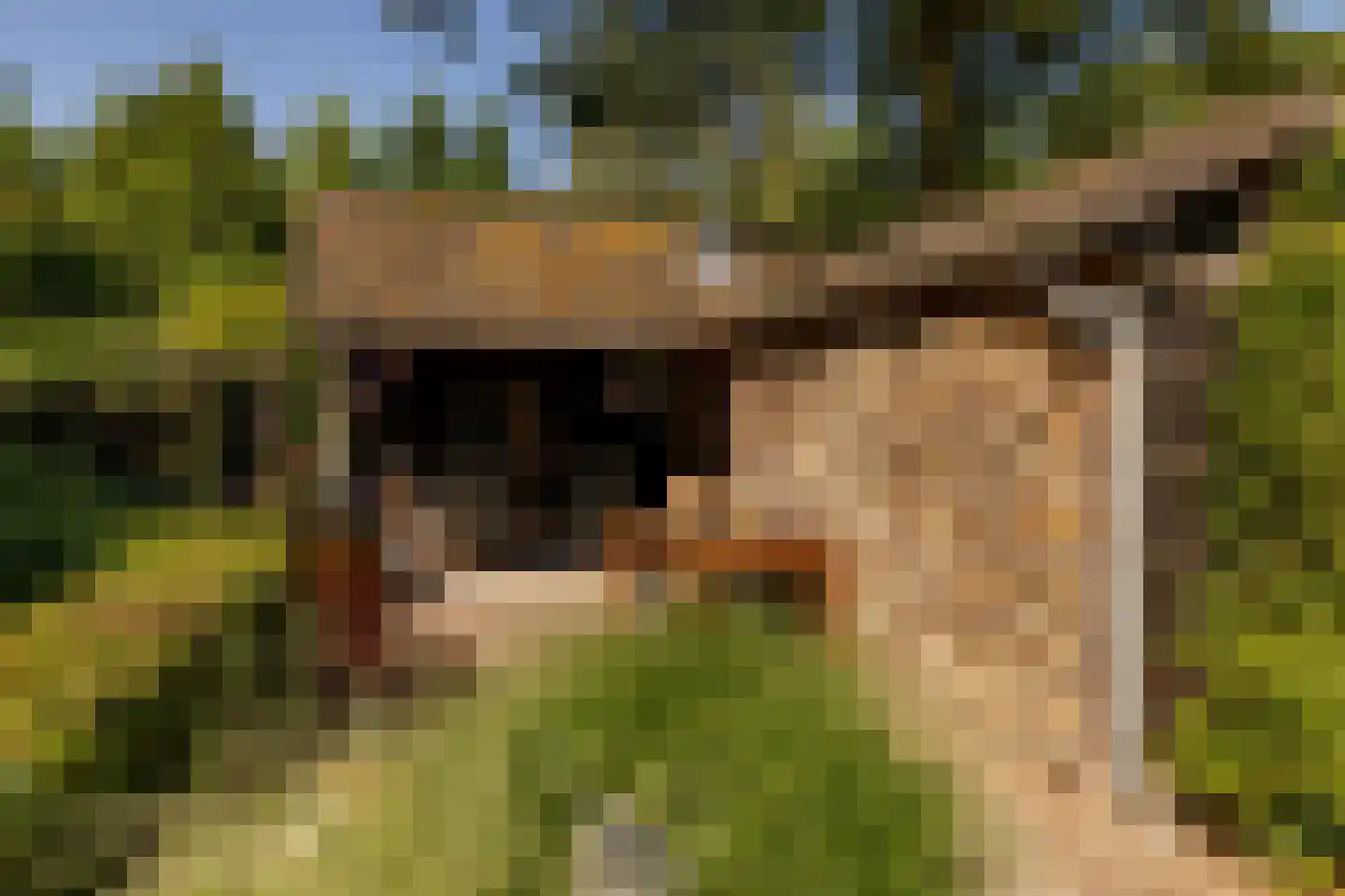 Waardeel 2 Zuidwolde thumbnail 54