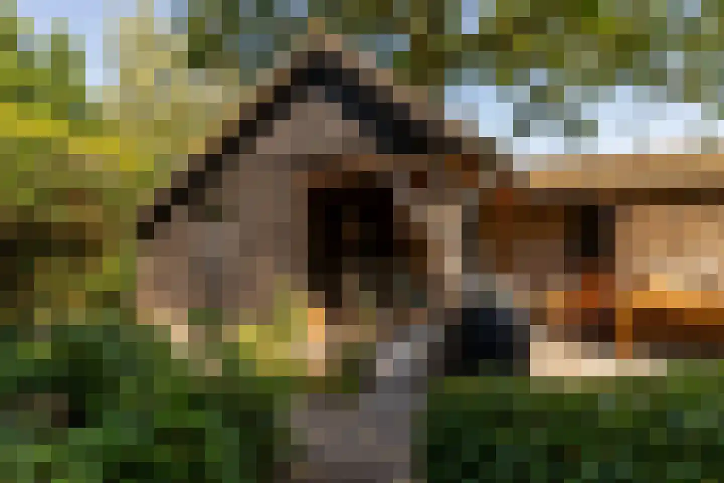 Waardeel 2 Zuidwolde thumbnail 56