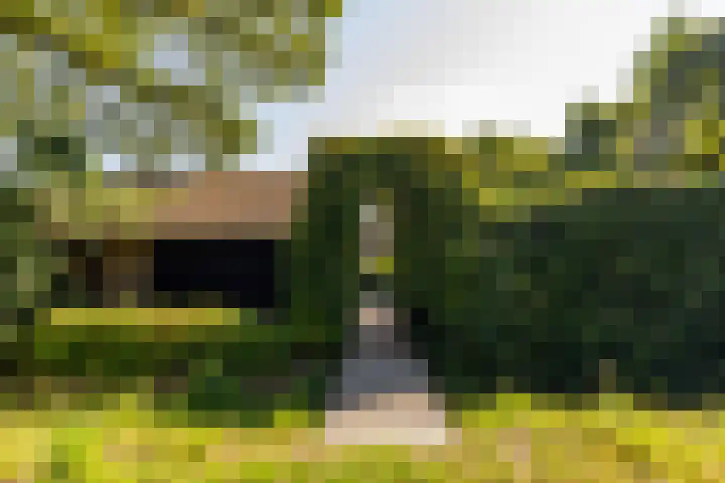 Waardeel 2 Zuidwolde thumbnail 57