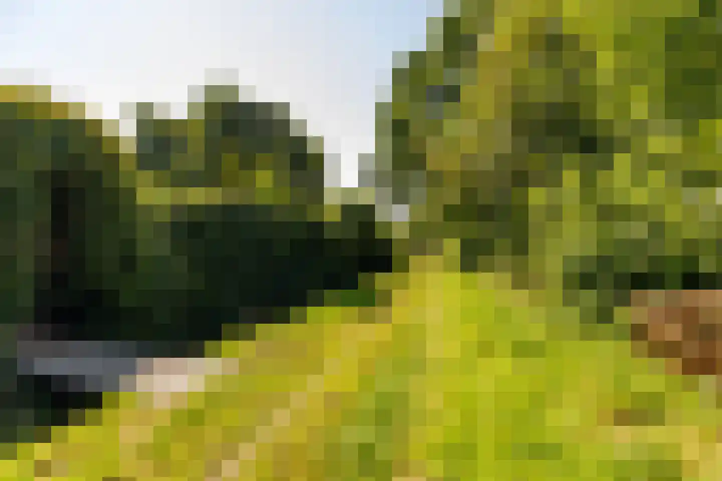 Waardeel 2 Zuidwolde thumbnail 58