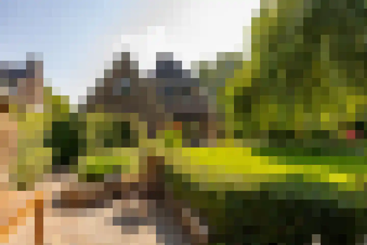 Waardeel 2 Zuidwolde thumbnail 59
