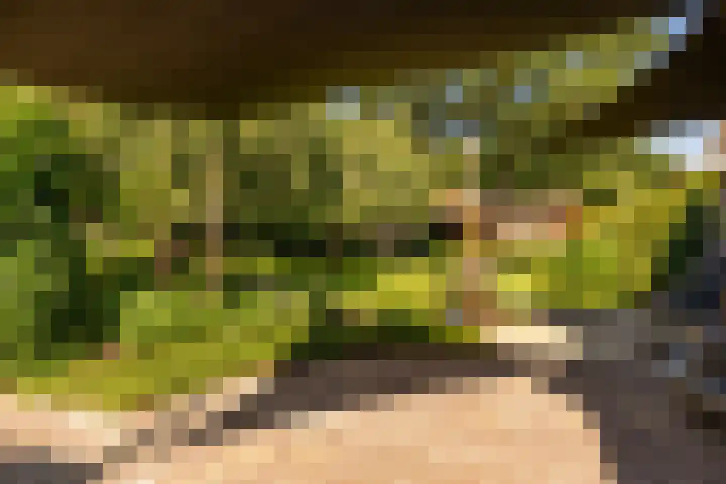 Waardeel 2 Zuidwolde thumbnail 60