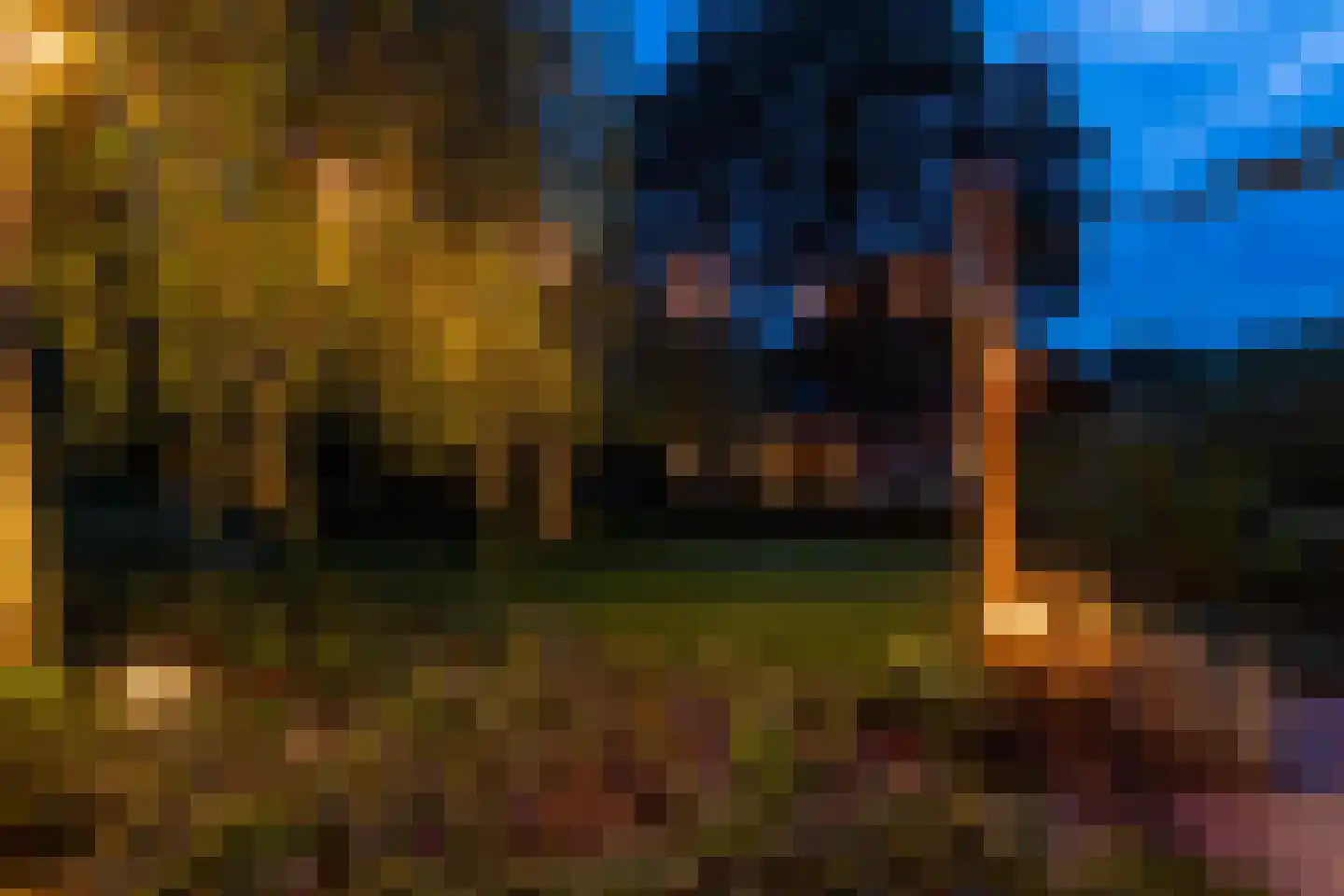 Waardeel 2 Zuidwolde thumbnail 61