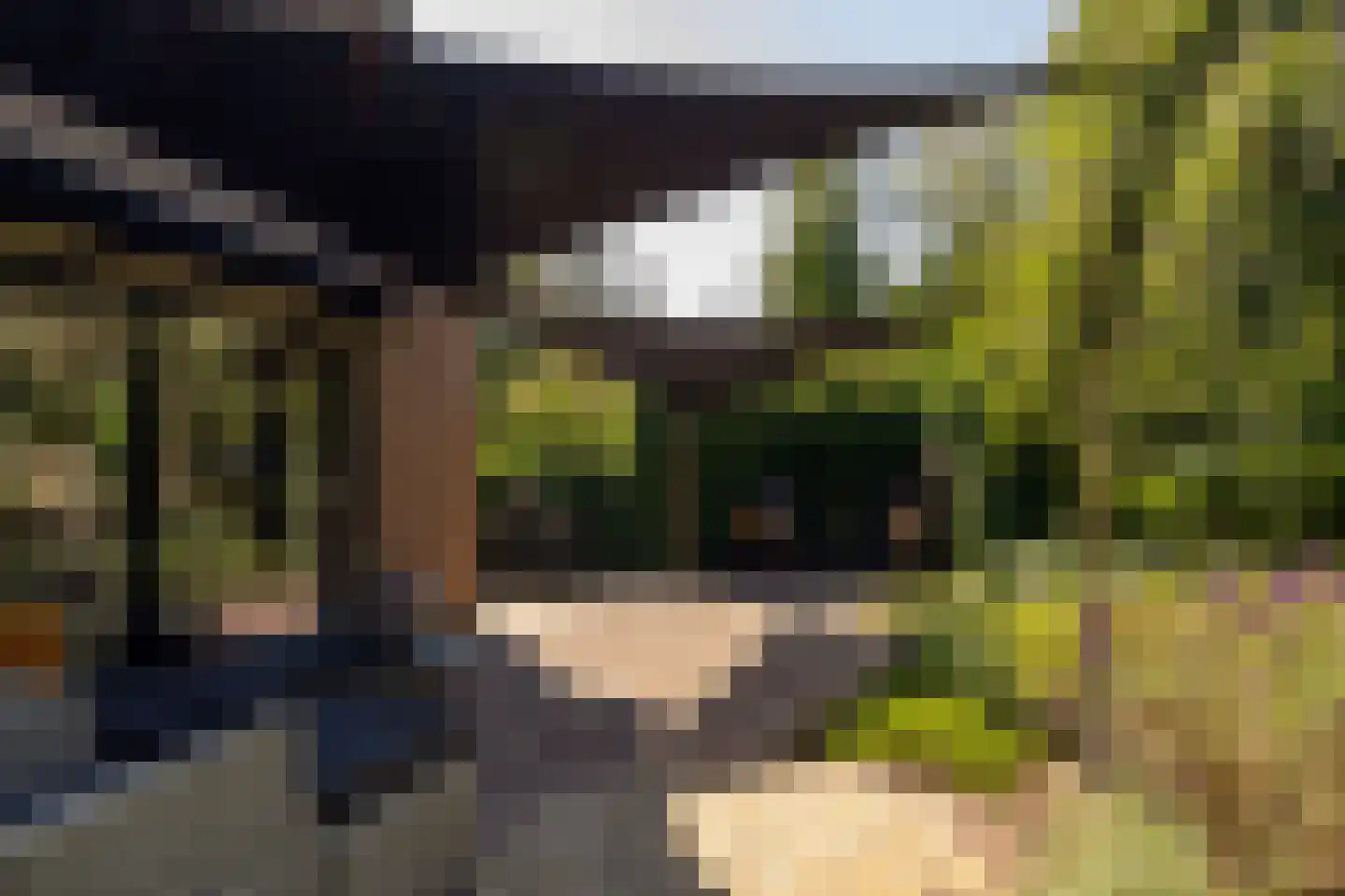 Waardeel 2 Zuidwolde thumbnail 62