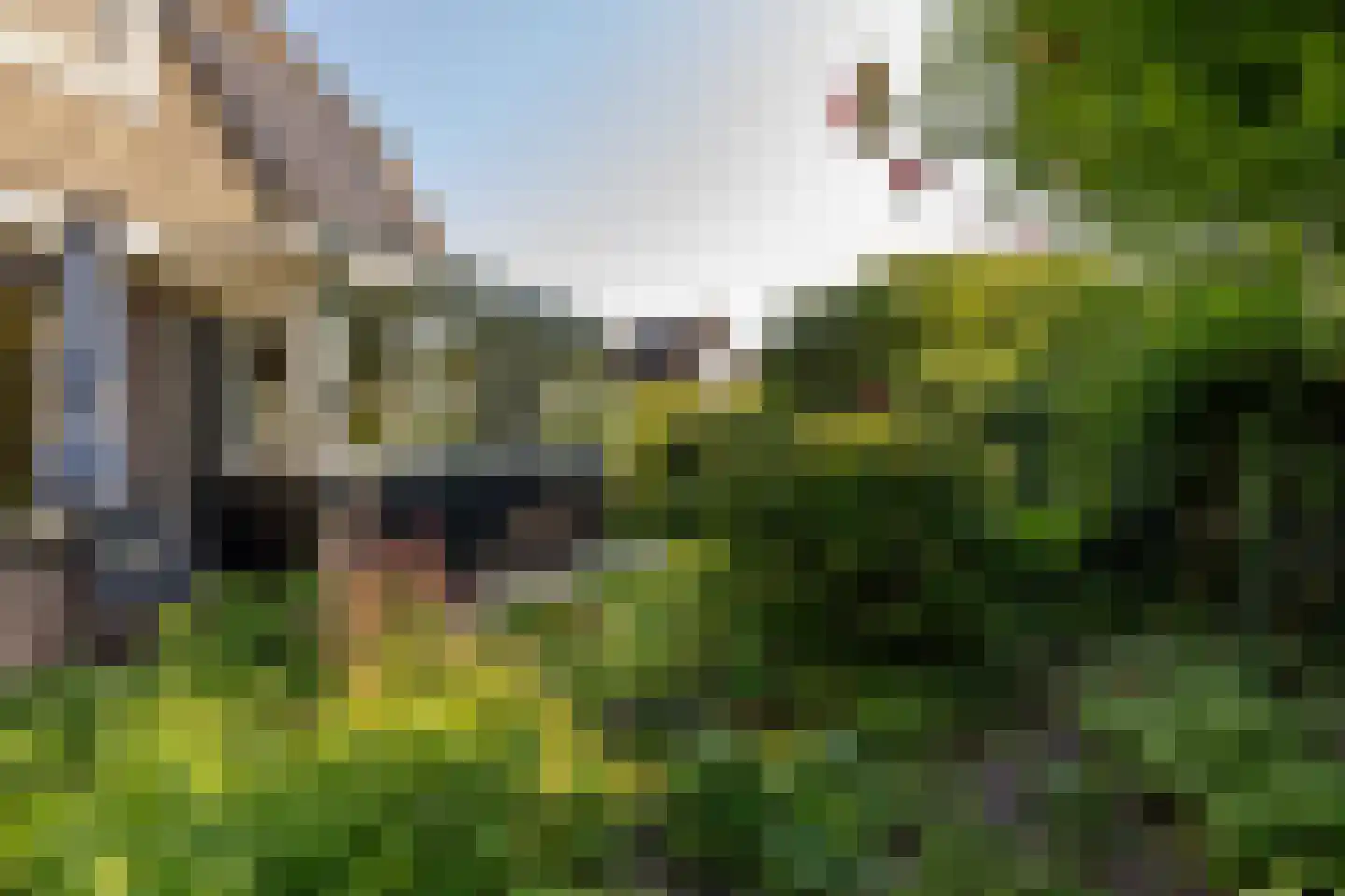 Waardeel 2 Zuidwolde thumbnail 63