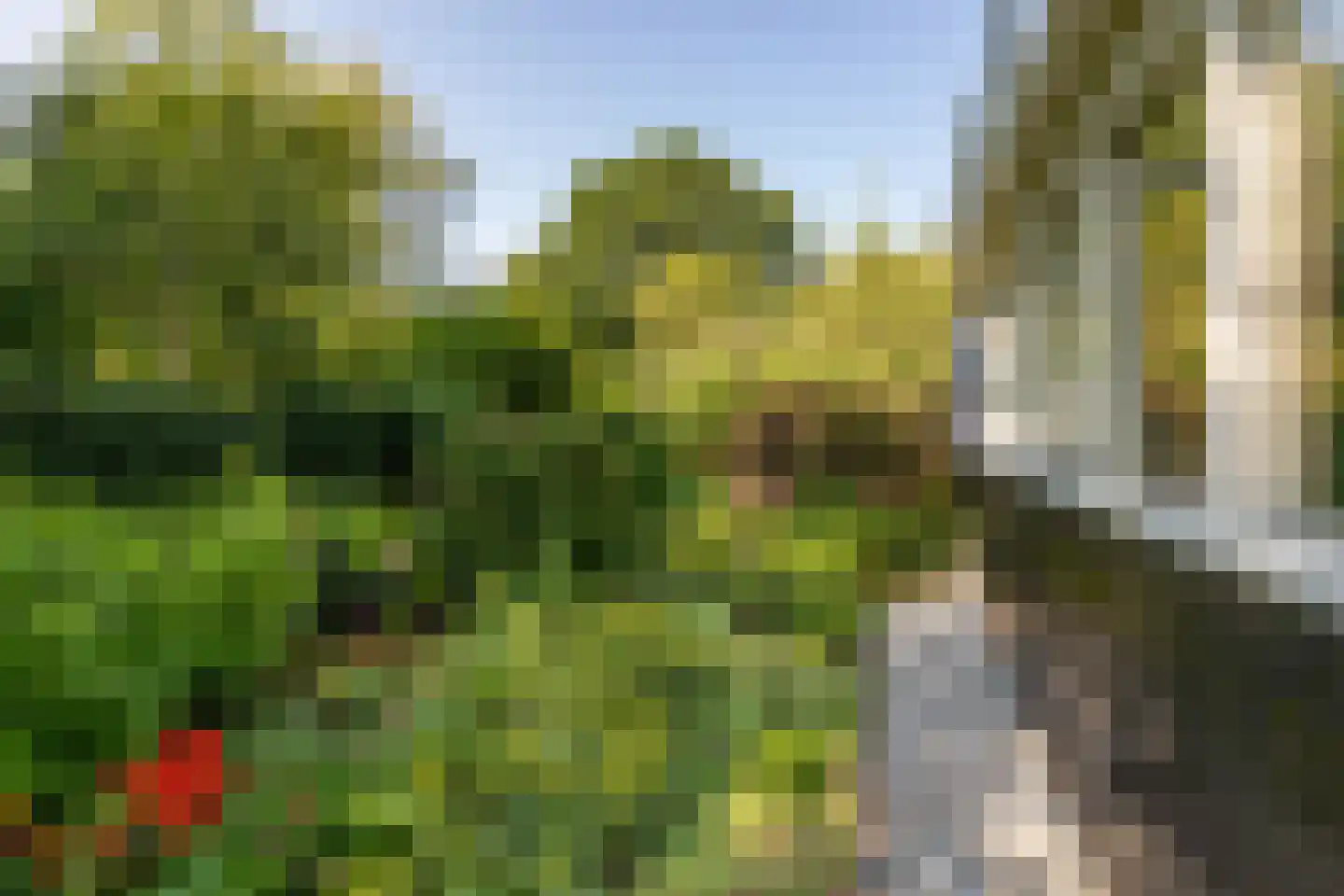 Waardeel 2 Zuidwolde thumbnail 64
