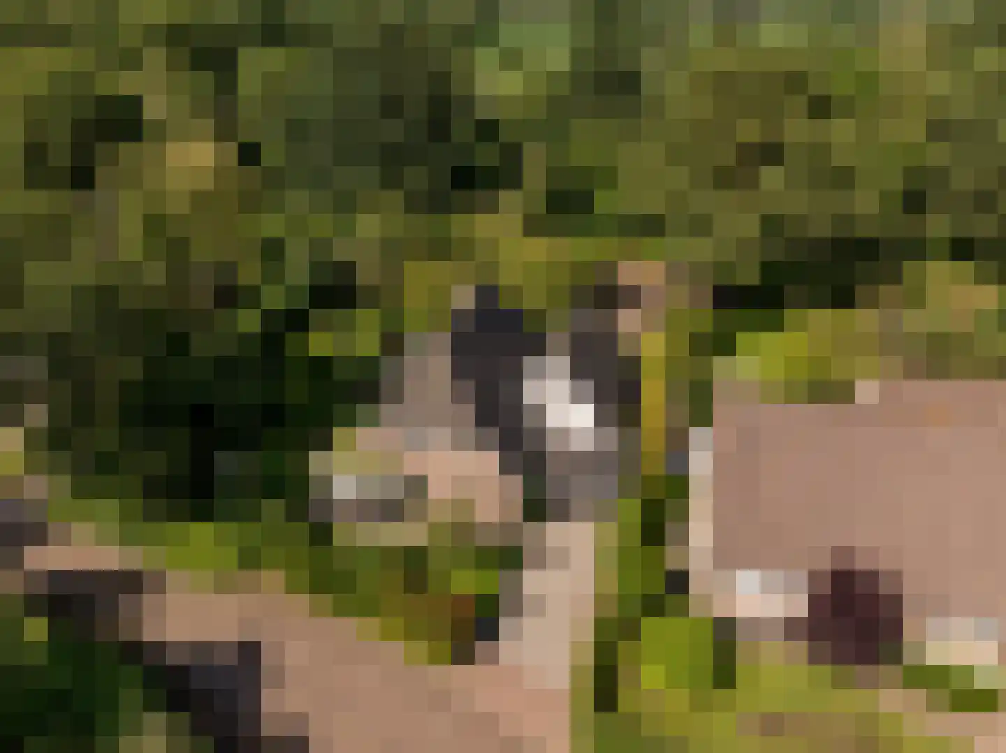 Waardeel 2 Zuidwolde thumbnail 66
