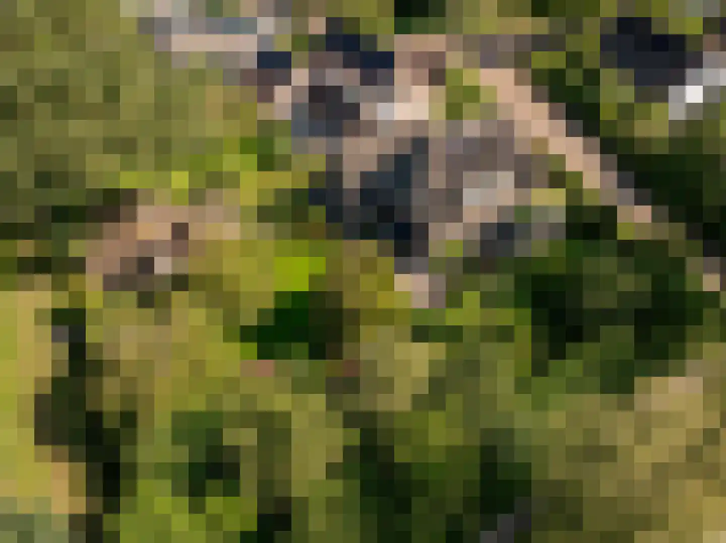Waardeel 2 Zuidwolde thumbnail 67