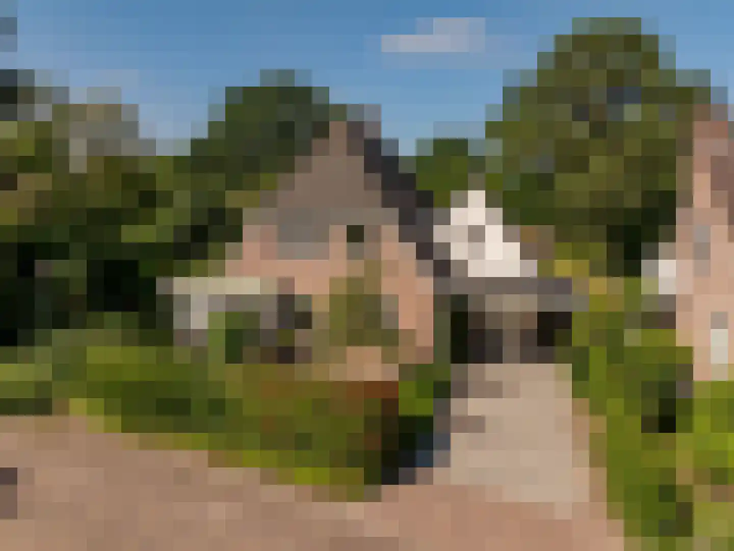 Waardeel 2 Zuidwolde thumbnail 68