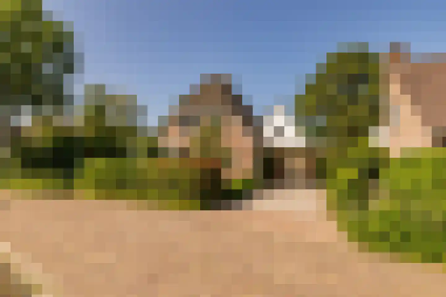 Waardeel 2 Zuidwolde thumbnail 70