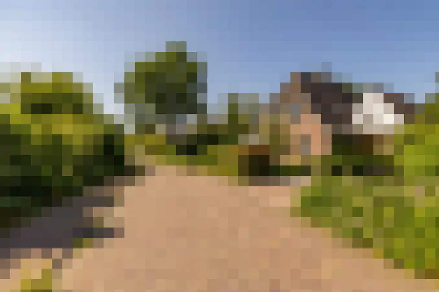 Waardeel 2 Zuidwolde thumbnail 71