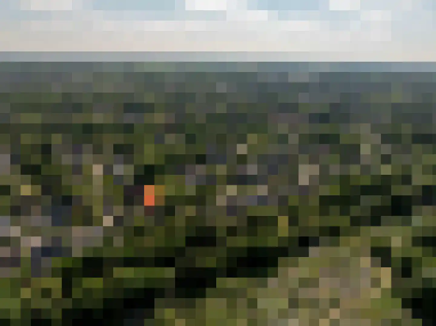 Waardeel 2 Zuidwolde thumbnail 73