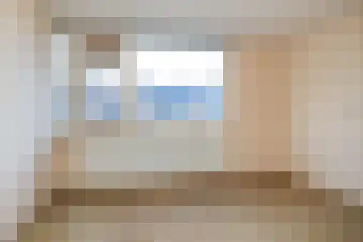 Waardeel 20 Steenwijk thumbnail 12