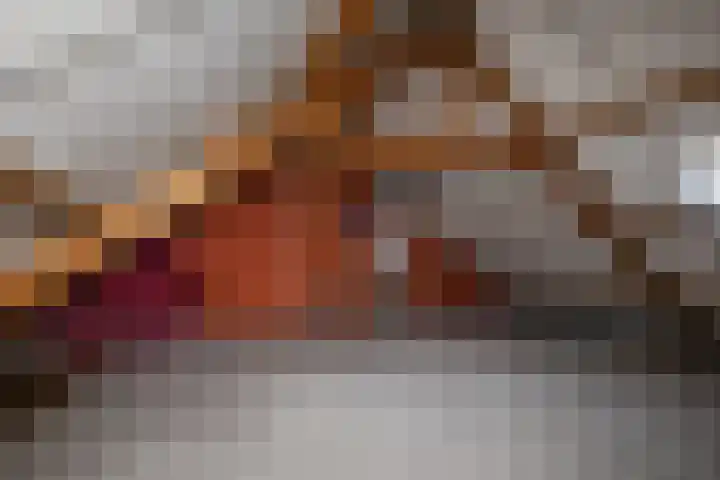 Waardeel 20 Steenwijk thumbnail 14