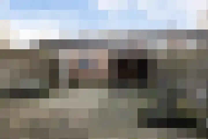 Waardeel 20 Steenwijk thumbnail 4