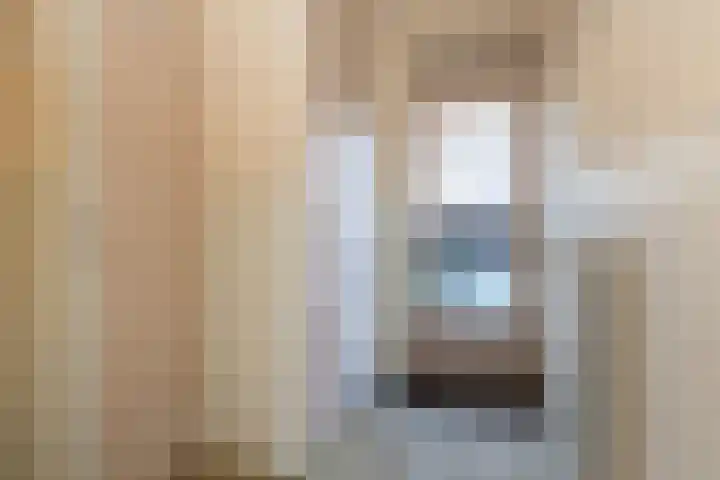 Waardeel 20 Steenwijk thumbnail 5