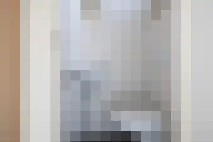 Waardeel 20 Steenwijk thumbnail 6