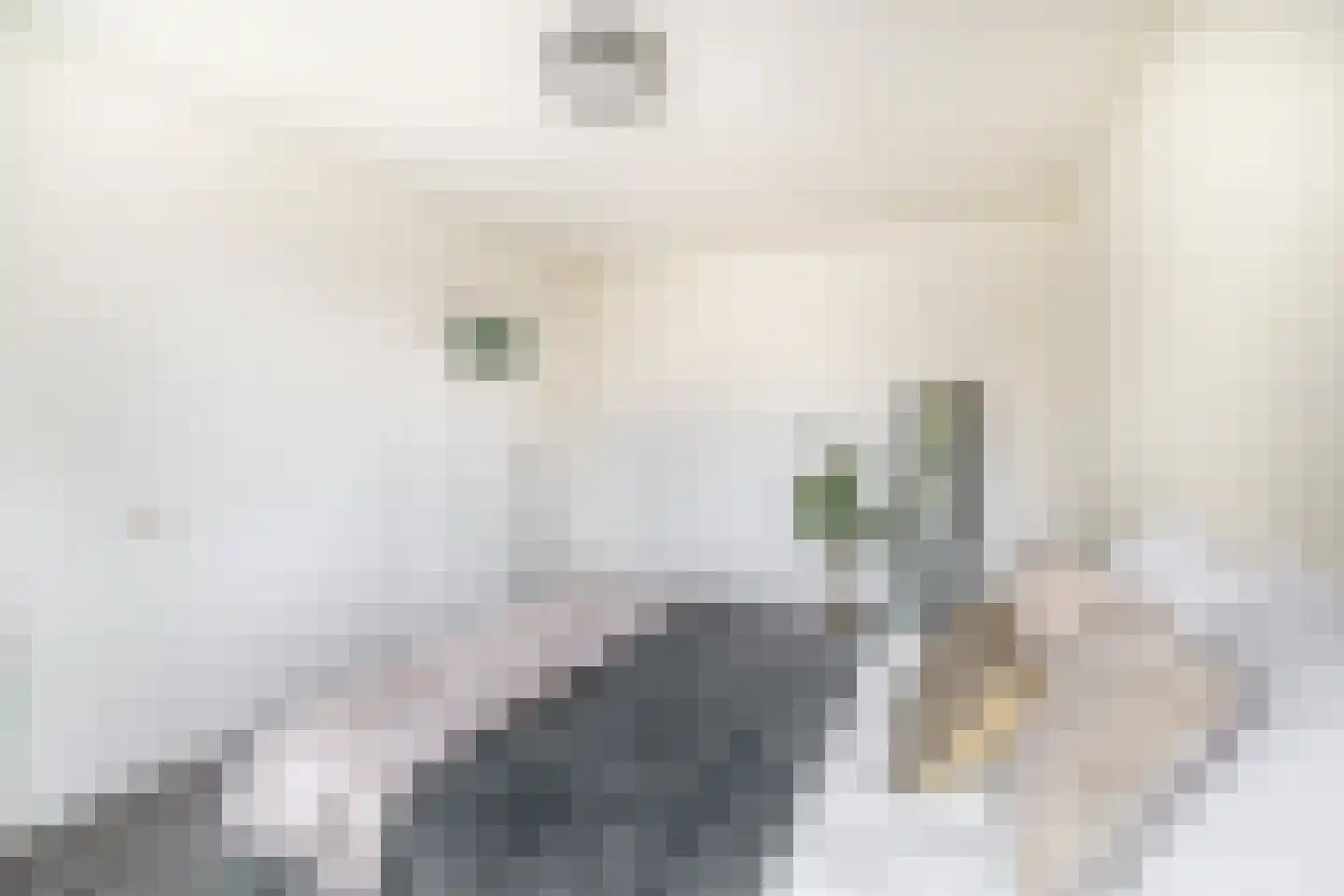 Waardeel 20 Steenwijk thumbnail 7