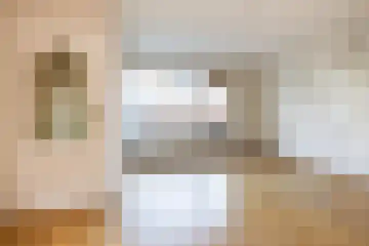 Waardeel 20 Steenwijk thumbnail 7