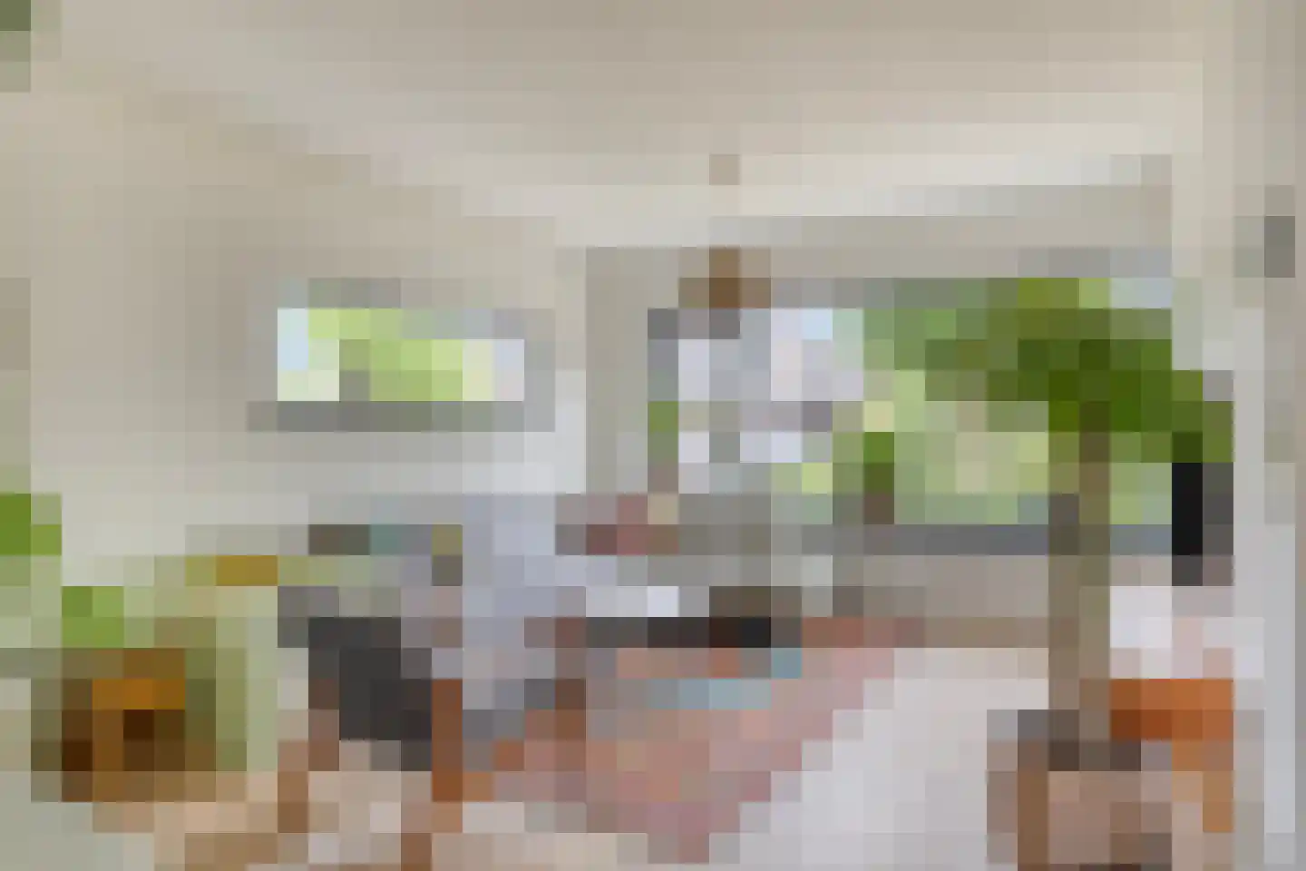 Waardeel 21 Drempt thumbnail 10