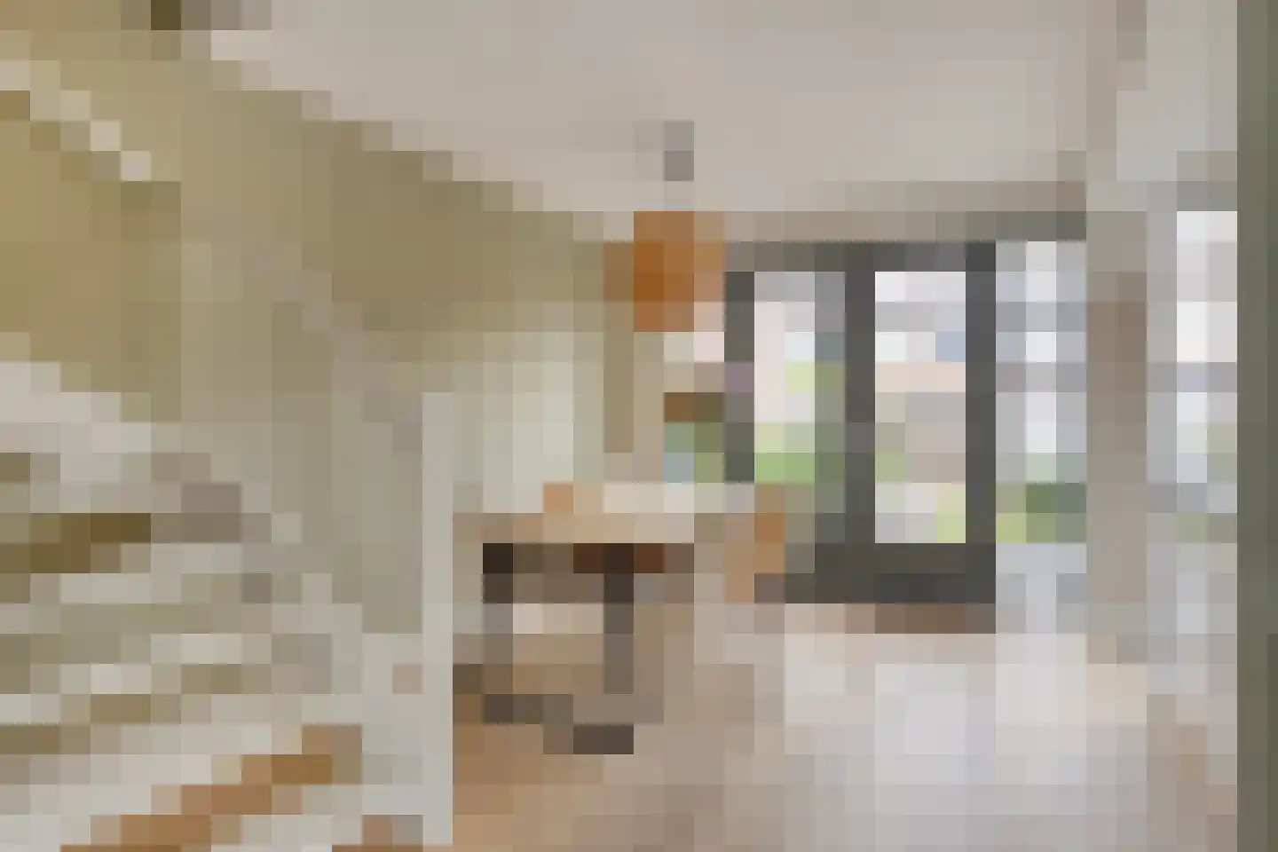 Waardeel 21 Drempt thumbnail 14