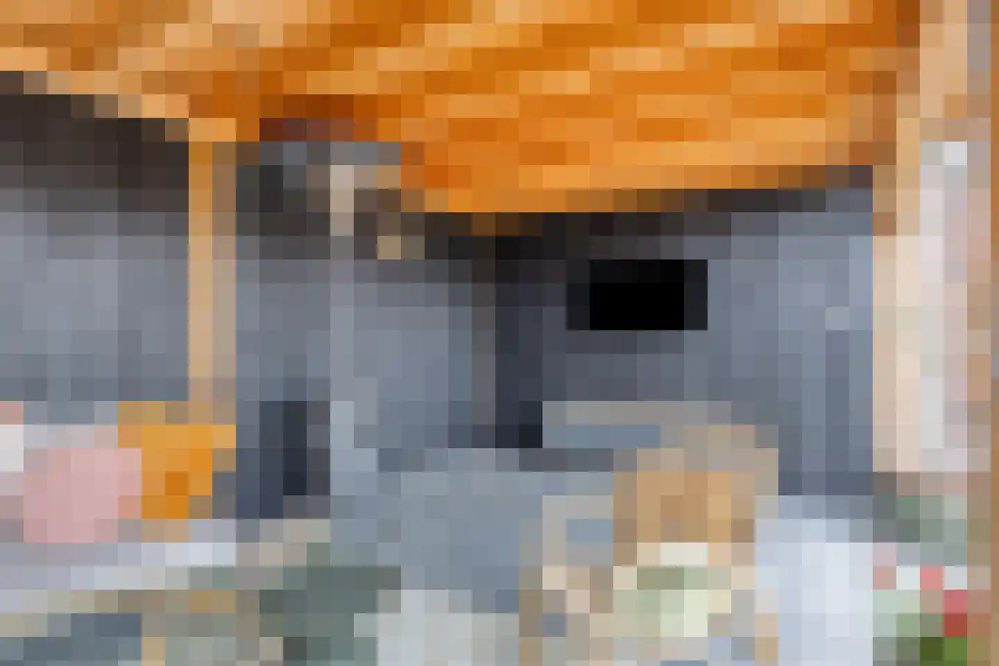 Waardeel 21 Drempt thumbnail 53