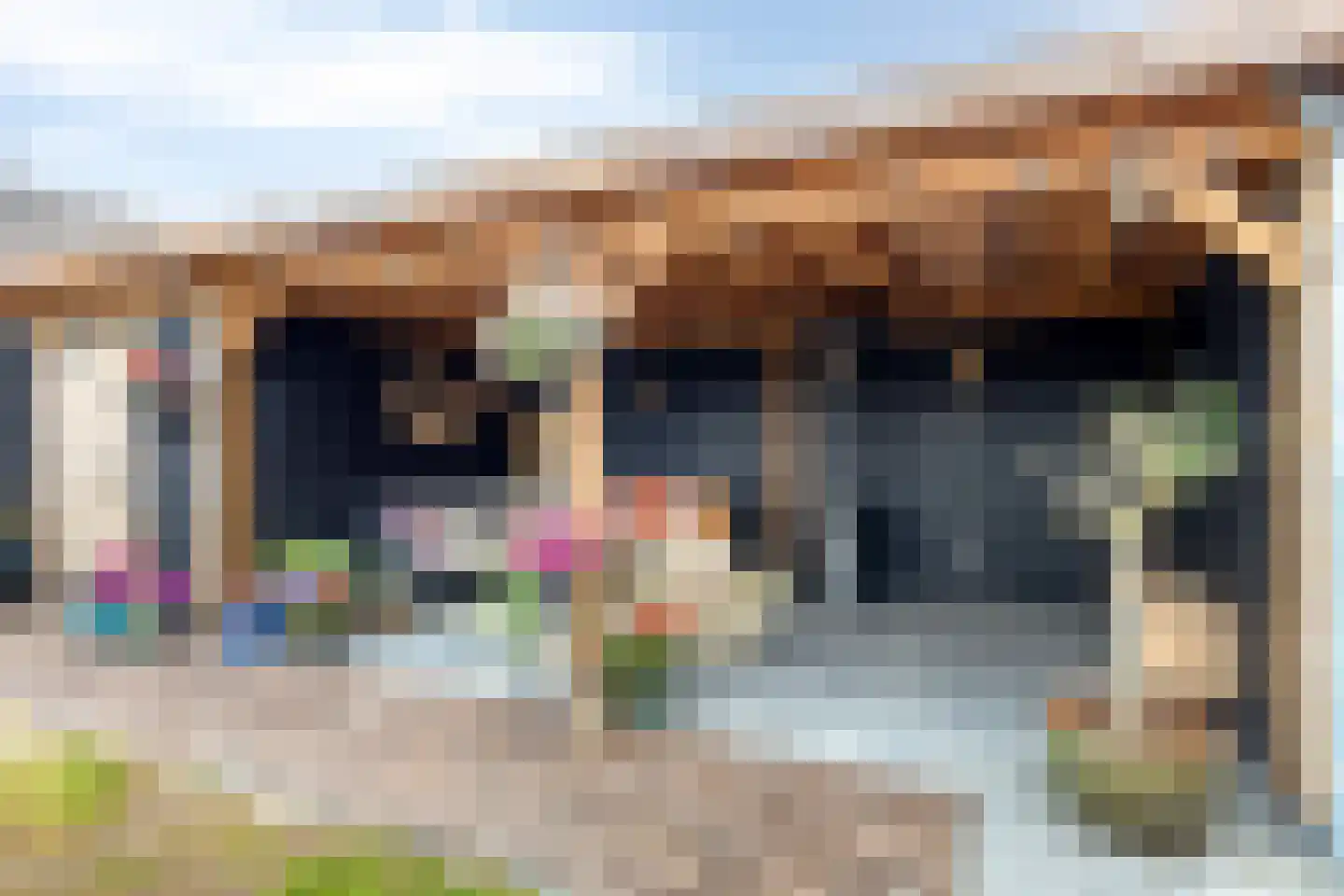 Waardeel 21 Drempt thumbnail 6
