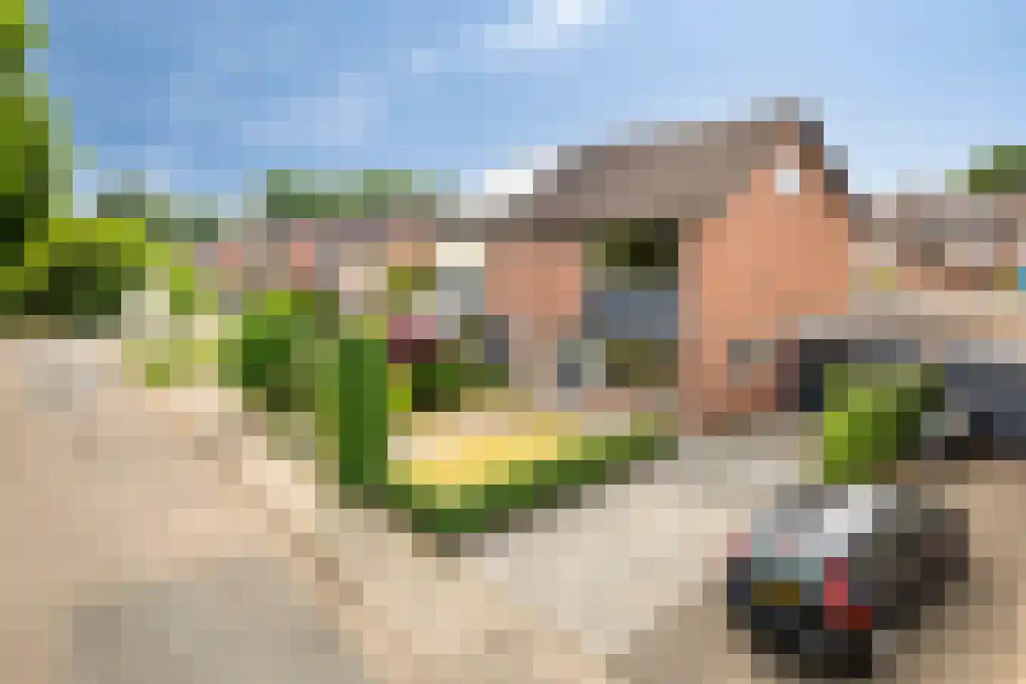 Waardeel 21 Drempt thumbnail 65