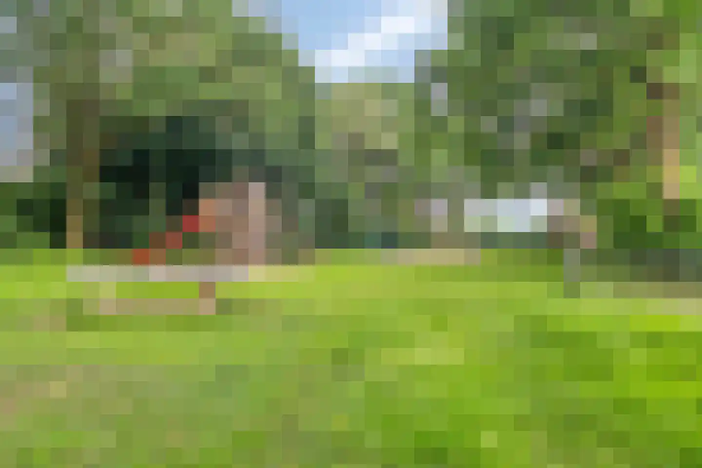 Waardeel 21 Drempt thumbnail 66