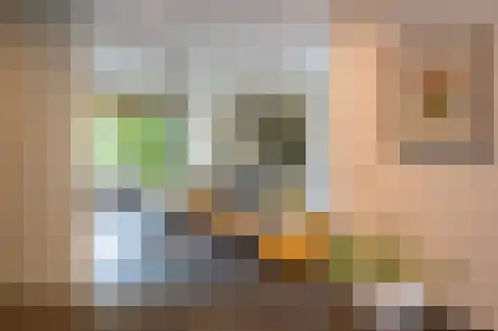 Waardeel 24 Drempt thumbnail 18