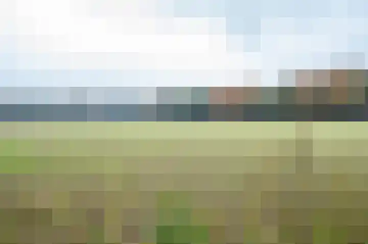 Waardeel 24 Drempt foto 2
