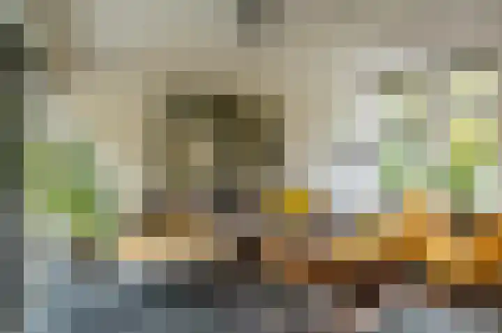 Waardeel 24 Drempt thumbnail 20