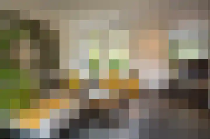 Waardeel 24 Drempt thumbnail 21