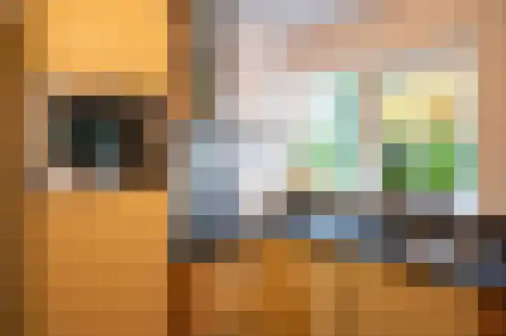 Waardeel 24 Drempt thumbnail 26