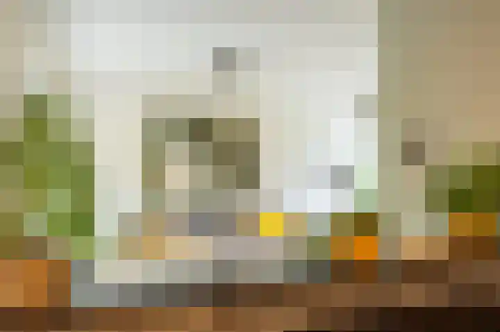 Waardeel 24 Drempt thumbnail 28