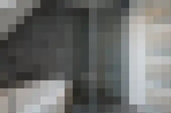 Waardeel 24 Drempt thumbnail 34