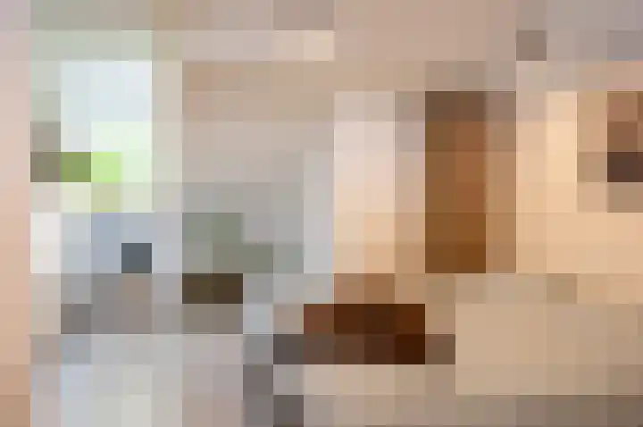 Waardeel 24 Drempt thumbnail 36